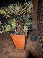 Houten bloembak met ijzer en palm, Ophalen, Overige materialen, Gebruikt, 40 cm of meer