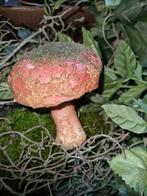 Paddestoelen, Huis en Inrichting, Woonaccessoires | Overige, Ophalen of Verzenden, Zo goed als nieuw