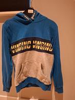 Vingino Hoodie Maat 14/164, Trui of Vest, Ophalen of Verzenden, Zo goed als nieuw, Vingino