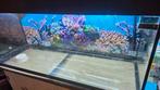 Juwel aquarium 240 liter, Dieren en Toebehoren, Vissen | Aquaria en Toebehoren, Ophalen, Gebruikt, Leeg aquarium