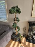 Kunst Bonsai Boom 180cm - Incl. Bak op Wieltjes, Ophalen, Zo goed als nieuw, Binnen