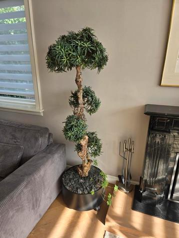 Kunst Bonsai Boom 180cm - Incl. Bak op Wieltjes beschikbaar voor biedingen