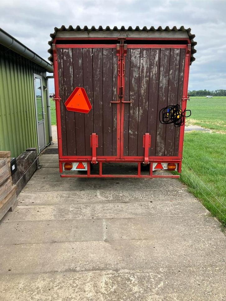 Te koop mooie schapen kar, Dieren en Toebehoren, Schapen, Geiten en Varkens, Schaap, Vrouwelijk