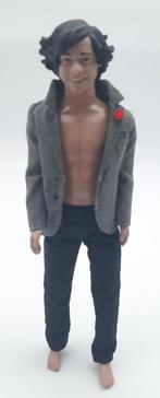 Harry Styles 1D One Direction pop VTG 2013, Ophalen of Verzenden, Zo goed als nieuw