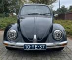 VW Kever - 1600cc - Porsche Cup velgen, Auto's, Zwart, Handgeschakeld, Particulier, Beetle (Kever)