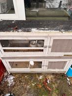 Konijnen hok, Ophalen of Verzenden, 110 cm of meer, Hok, 90 cm of meer