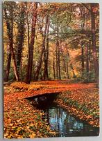 Groeten uit Reuver, Verzamelen, Ophalen of Verzenden, Gelopen, Limburg