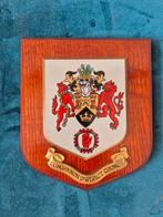 Wapenschild Dungannon Districts Council, Ophalen of Verzenden, Landmacht, Nederland, Embleem of Badge