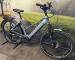 Falter E 6.0 500 – Nieuwe Elektrische fiets met Bosch Motor, Overige merken, Nieuw, Ophalen of Verzenden, 50 km per accu of meer