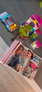 LEGO Friends Ponyverzorging met Boekje, Ophalen of Verzenden, Gebruikt, Complete set, Lego