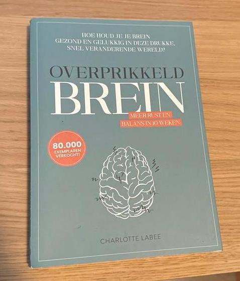 Overprikkeld Brein - Charlotte Labee, Boeken, Psychologie, Zo goed als nieuw, Cognitieve psychologie, Ophalen of Verzenden