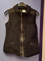 Dreamstar zwart teddy gilet vest mt M nr 47772, Maat 38/40 (M), Dreamstar, ., Zwart