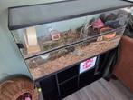 terrarium, Dieren en Toebehoren, Gebruikt, Hamster, Hok, 75 tot 110 cm