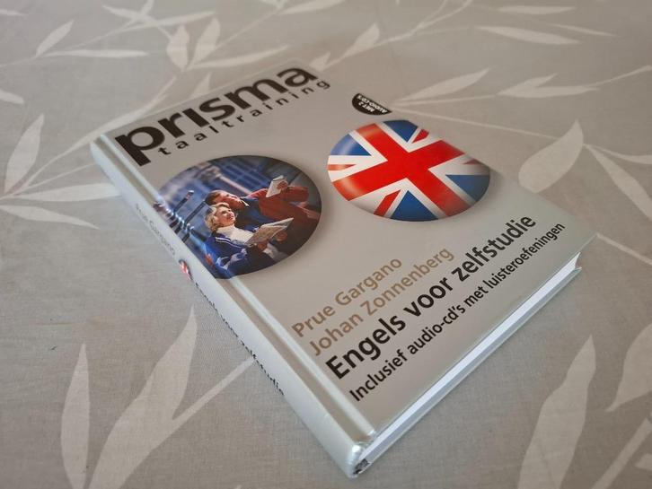 ENGELS VOOR ZELFSTUDIE (Met 2 CD’s), Boeken, Taal | Engels, Zo goed als nieuw, Non-fictie, Ophalen of Verzenden