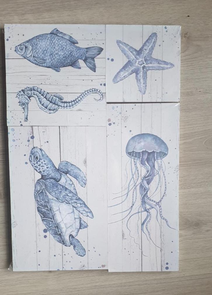 zee dieren op hout platen 5 zeepaard schildpad vis kwal ster, Huis en Inrichting, Woonaccessoires | Schilderijen, Tekeningen en Foto's