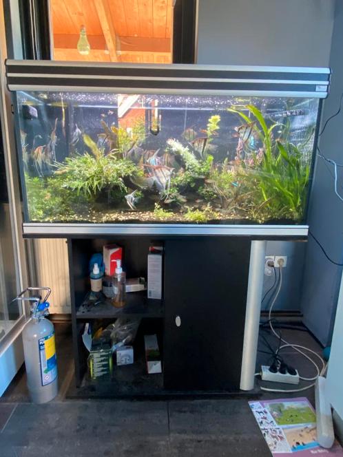 Aqualantis aquarium met vissen en evt, Dieren en Toebehoren, Vissen | Aquaria en Toebehoren, Gebruikt, Gevuld zoetwateraquarium