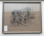 Oude tekening: 2 paarden, Ophalen of Verzenden