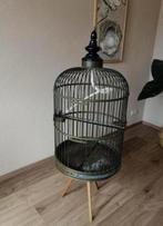 Antieke vogelkooi, Dieren en Toebehoren, Ophalen, Gebruikt, Metaal, Vogelkooi