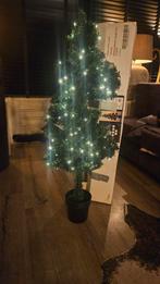 Kerstboom, Diversen, Kerst, Ophalen
