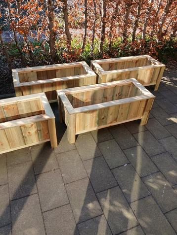 Mooie bloem bakken  beschikbaar voor biedingen