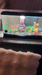 Aquarium, Dieren en Toebehoren, Ophalen, Gebruikt, Leeg aquarium