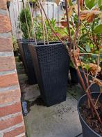 Plantenbak (3x), Tuin en Terras, Ophalen, Kunststof, Gebruikt, Rond