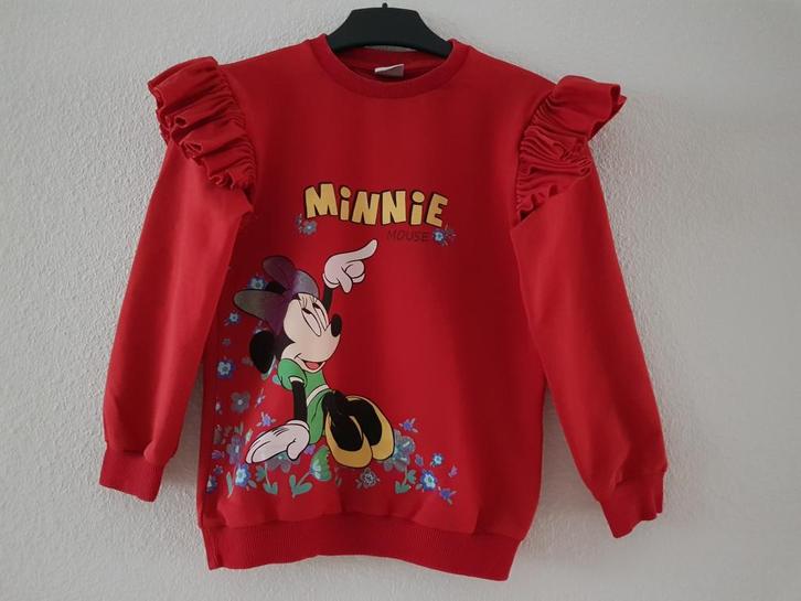 Leuke trui meisjes -- maat 140 / 9 - 10 jaar -- Zara Kids, Kinderen en Baby's, Kinderkleding | Maat 140, Zo goed als nieuw, Meisje