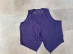 Leuk gilletje, maat XL, Kleding | Dames, Ophalen of Verzenden, Zo goed als nieuw, Maat 46/48 (XL) of groter, Blauw
