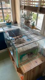 Hamsterkooi / terrarium met toebehoren, Dieren en Toebehoren, Kooi, Gebruikt, Hamster, 75 tot 110 cm
