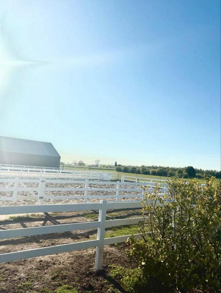 Stalling aan huis beschikbaar, Dieren en Toebehoren, Stalling en Weidegang, Stalling