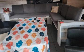 Stevige Lounge bank steigerhout  beschikbaar voor biedingen