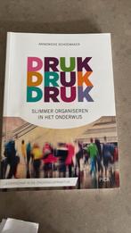 Druk, druk druk… slimmer organiseren in het onderwijs, Sociale wetenschap, Ophalen of Verzenden, Zo goed als nieuw, Annemieke Schoemaker