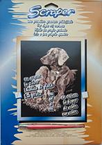 scraper - ets, Hobby en Vrije tijd, Ophalen of Verzenden, Nieuw, Overige typen