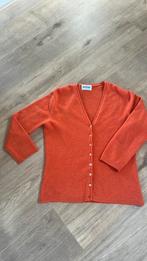 100 % cashmere vestje Brora, Ophalen of Verzenden, Zo goed als nieuw, Blauw