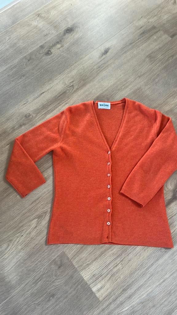 100 % cashmere vestje Brora, Kleding | Dames, Truien en Vesten, Zo goed als nieuw, Blauw, Ophalen of Verzenden