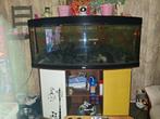 Gratis Juwel vision 450 met meubel etc opknapper, Ophalen, Gebruikt, Gevuld zoetwateraquarium