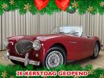 Austin Healey 100/4 BN2 Roadster / 1956 / 4-Speed Overdrive, Auto's, Oldtimers, Austin, Radio, Cabriolet, Handgeschakeld
