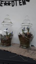 Glazen potten, Ophalen of Verzenden, Zo goed als nieuw