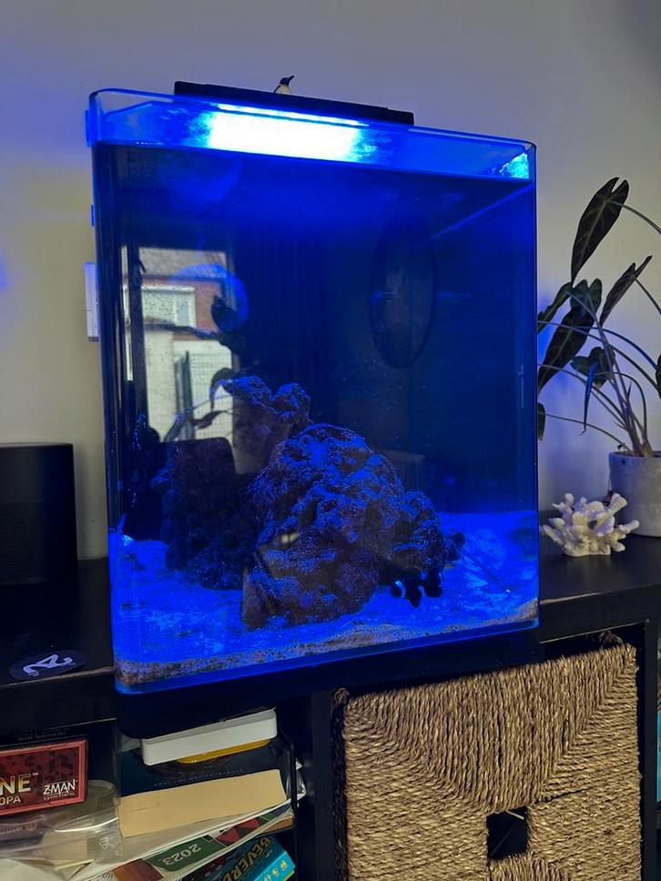Blue marine 66 liter, Dieren en Toebehoren, Vissen | Aquaria en Toebehoren, Zo goed als nieuw, Gevuld zeewateraquarium, Ophalen