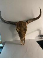 buffel skull / buffel schedel gegraveerd., Ophalen of Verzenden, Zo goed als nieuw, Schedel
