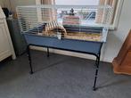 2x cavia hok op standaard, Gebruikt, Hok, 75 tot 110 cm, Cavia