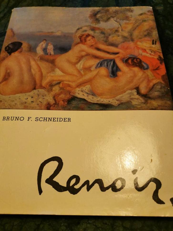 Renoir - Biografie, Boeken, Kunst en Cultuur | Fotografie en Design, Gelezen, Fotografen, Ophalen of Verzenden