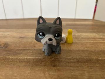 Littlest Pet Shop 1860 Scottie Schotse terriër beschikbaar voor biedingen