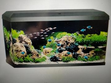 Aquarium Juwel Rio 110 beschikbaar voor biedingen