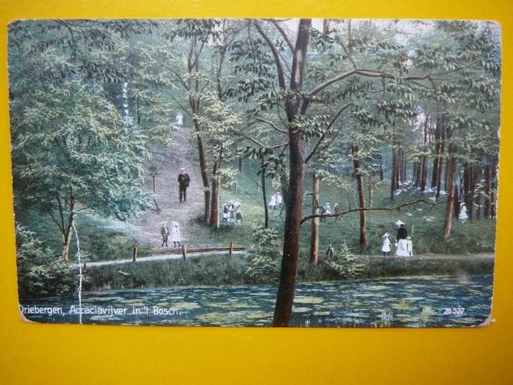 Driebergen.   Accaciavijver in het Bosch, Verzamelen, Ansichtkaarten | Nederland, Gelopen, Utrecht, Voor 1920, Ophalen of Verzenden