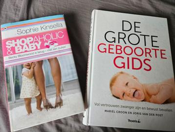 De grote geboorte gids beschikbaar voor biedingen