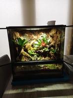 Volledig ingedraaid 45x45x45cm Exo Terra Paludarium, Ophalen, Zo goed als nieuw, Terrarium of Paludarium