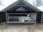Schuilstal bokkenhok lammeren huisvesting
