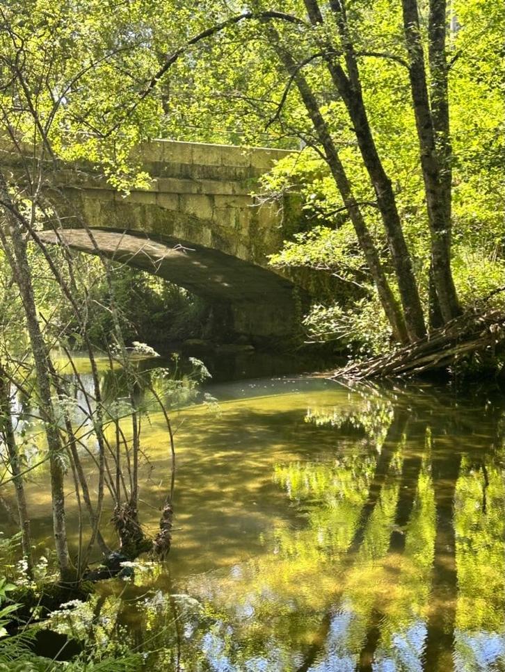 Landgoed Portugal 7 Ha, Huizen en Kamers, Buitenland, Portugal, Woonhuis, Landelijk