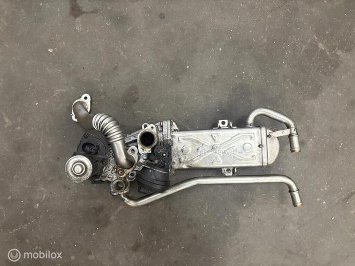 EGR koeler Volkswagen Polo 6R 1.2 TDI(09-14) 03P 131 512 D, Auto-onderdelen, Motor en Toebehoren, Volkswagen, Gebruikt, Ophalen of Verzenden